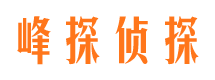 三元市私家侦探